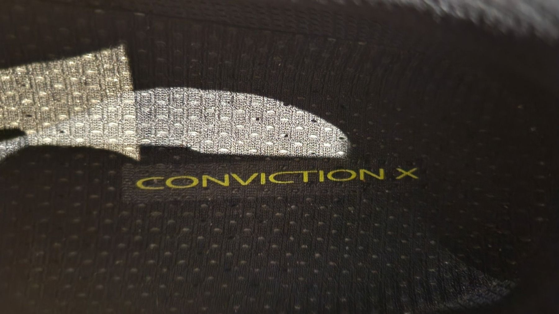 Herrenschuhe: neu!!Asics Conviction X Rhyno Skin gr.46 – Gebraucht aus bellinzona von zeus6535 3