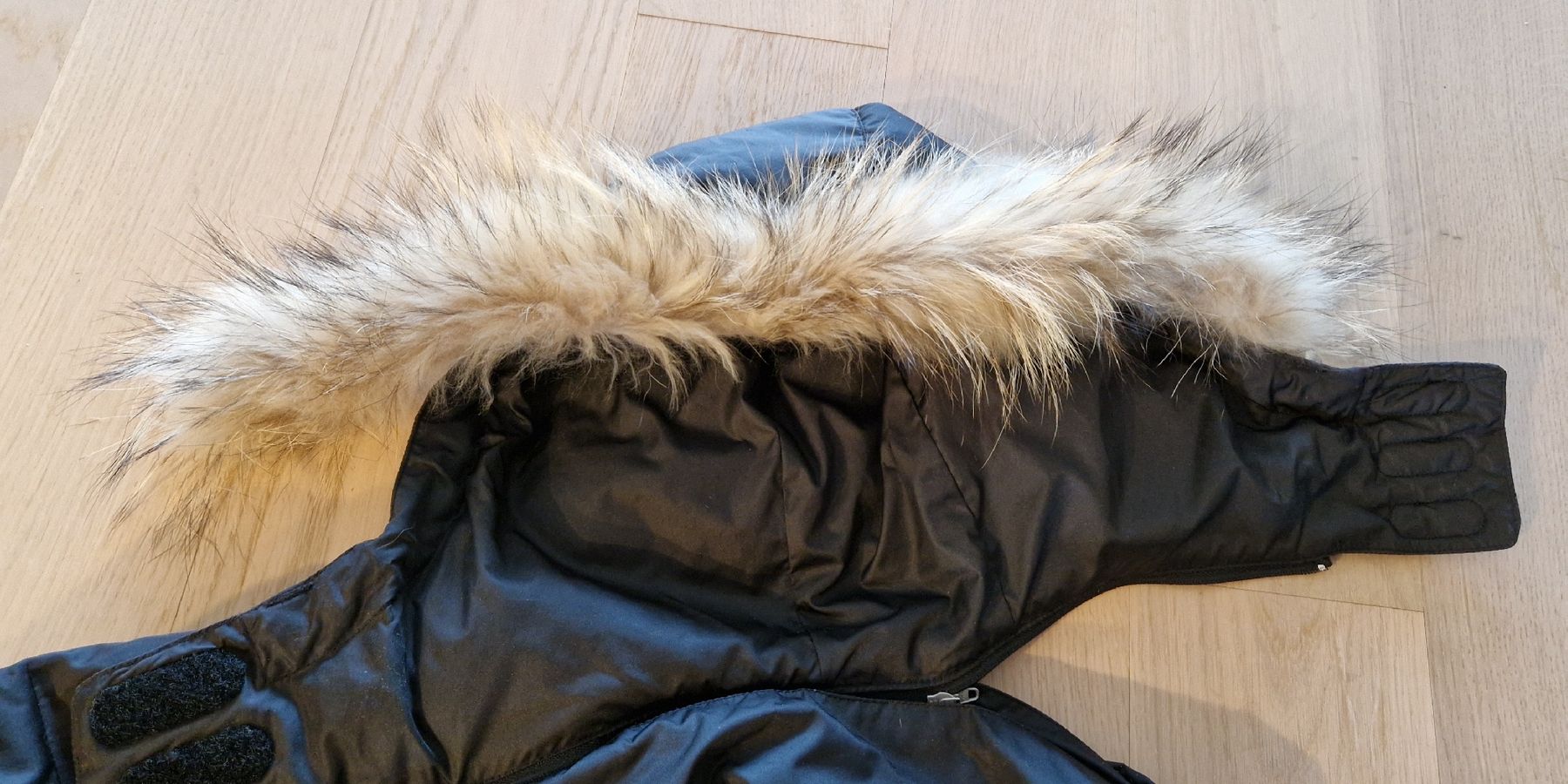 Bogner Giacche: Bogner Fire+Ice Daunenjacke, Gr. M, Schwarz – Usato da Gasel venduto da sale65 5