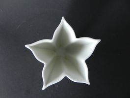 Stern Vase von Hutschenreuther