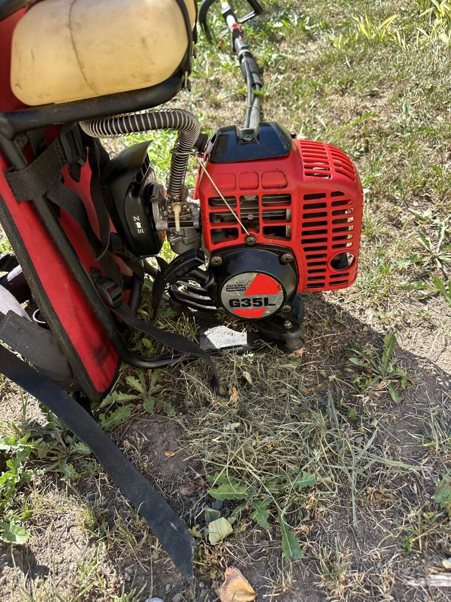 Tagliaerba: Rasentrimmer mit Motor G35L – Difettoso da rorschach venduto da ciciban02