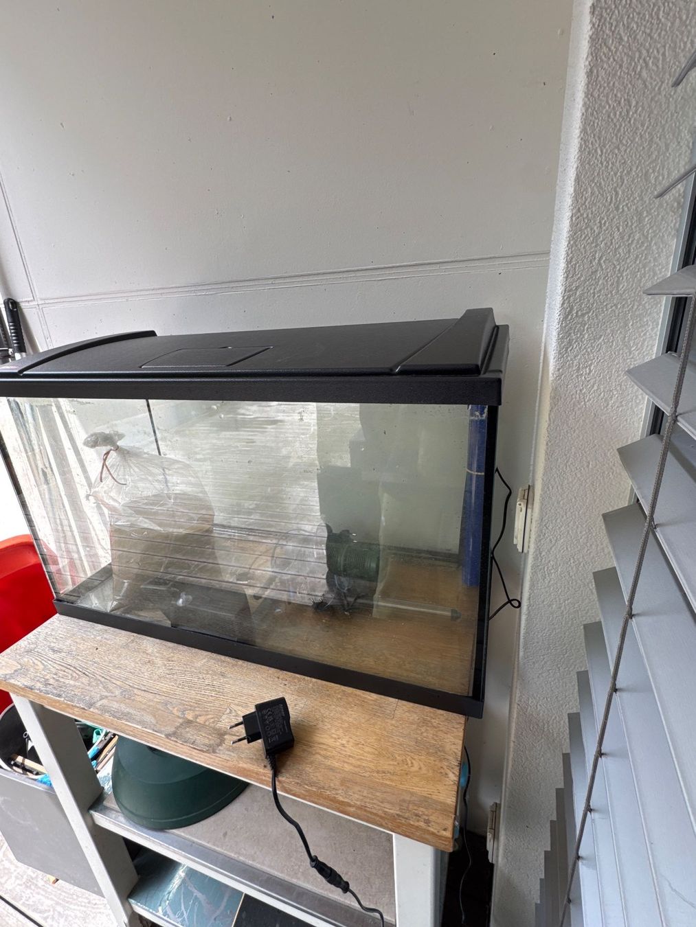 Eheim Acquari: 126 Liter Einsteiger/Gesselschaftsaquarium – Usato da Zollikofen venduto da cibinkkuruvilla 3