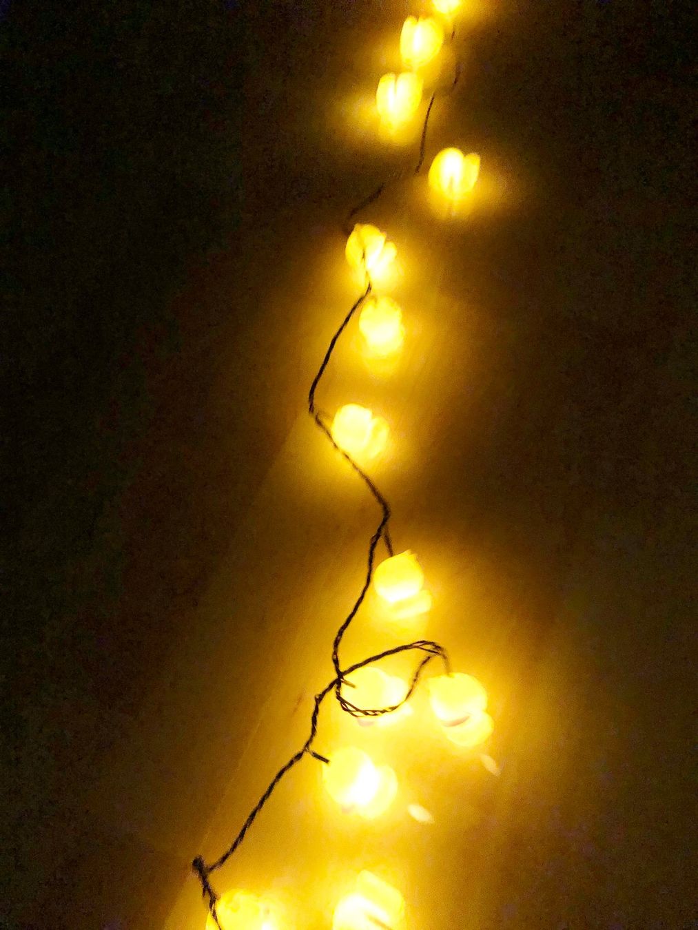 Ghirlande e barre luminose: Lichterkette mit Enten – Nuovo (secondo la descrizione) da Glattbrugg venduto da Ariel012 3
