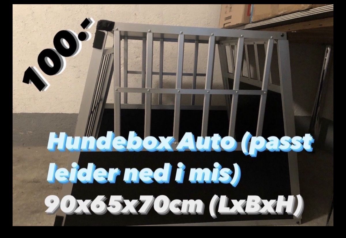Käfige, Transport & Sicherheit: Hundebox – Gebraucht aus Veltheim AG von andreaswenger02 2