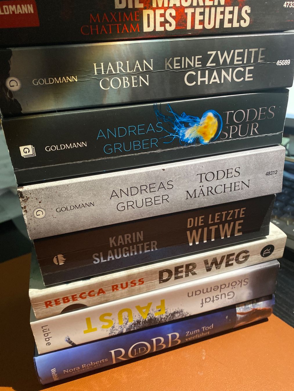 Bücher: Spannende Thriller Sammlung - 8 Bücher – Gebraucht aus Erlinsbach SO von Silverstorm 2