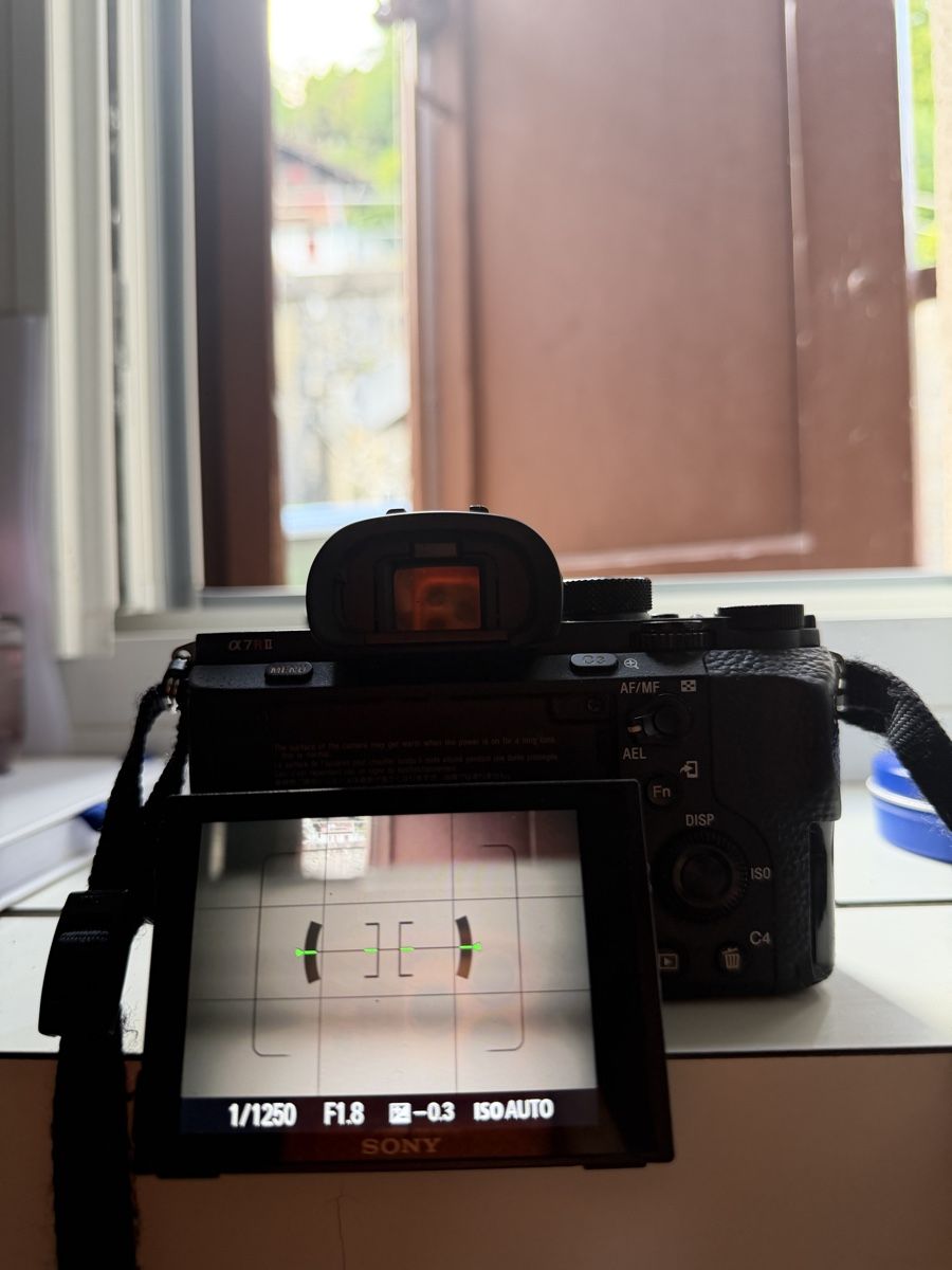 Sony Fotocamera: Sony A7RII + 2 batteries + chargeur – Usato da Biel/Bienne venduto da oma_t92s 6