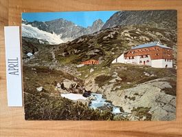 AK von Sulzenau Hütte / Tirol Stubaier Alpen