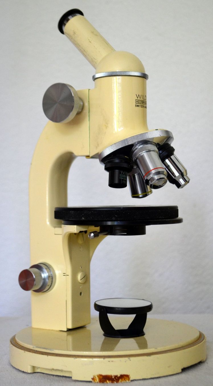 Wild Mikroskopie: Wild Heerbrugg M11 Mikroskop  / microscope – Gebraucht aus Collonges von arashee 3