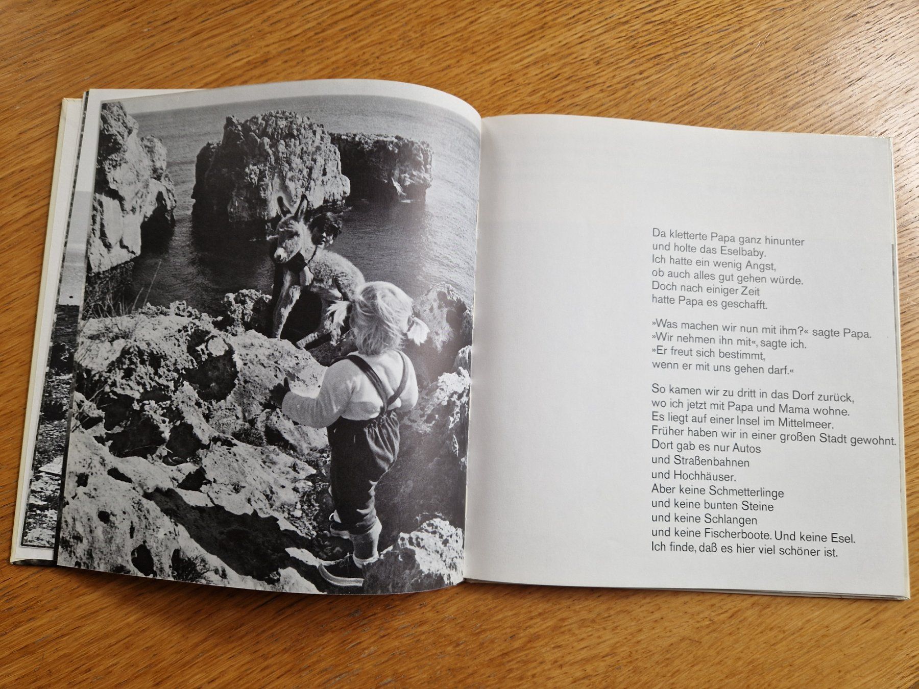 Libri: Mein Esel Benjamin – Usato da Balterswil venduto da Little-nemo 1