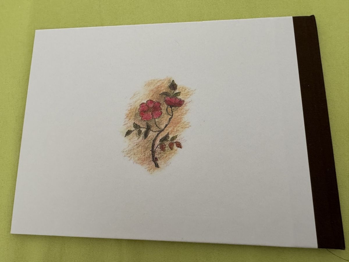 Libri: Schneewittchen und Rosenrot Kinderbuch  Märchen – Nuovo (secondo la descrizione) da Zermatt venduto da Oli4.c 1