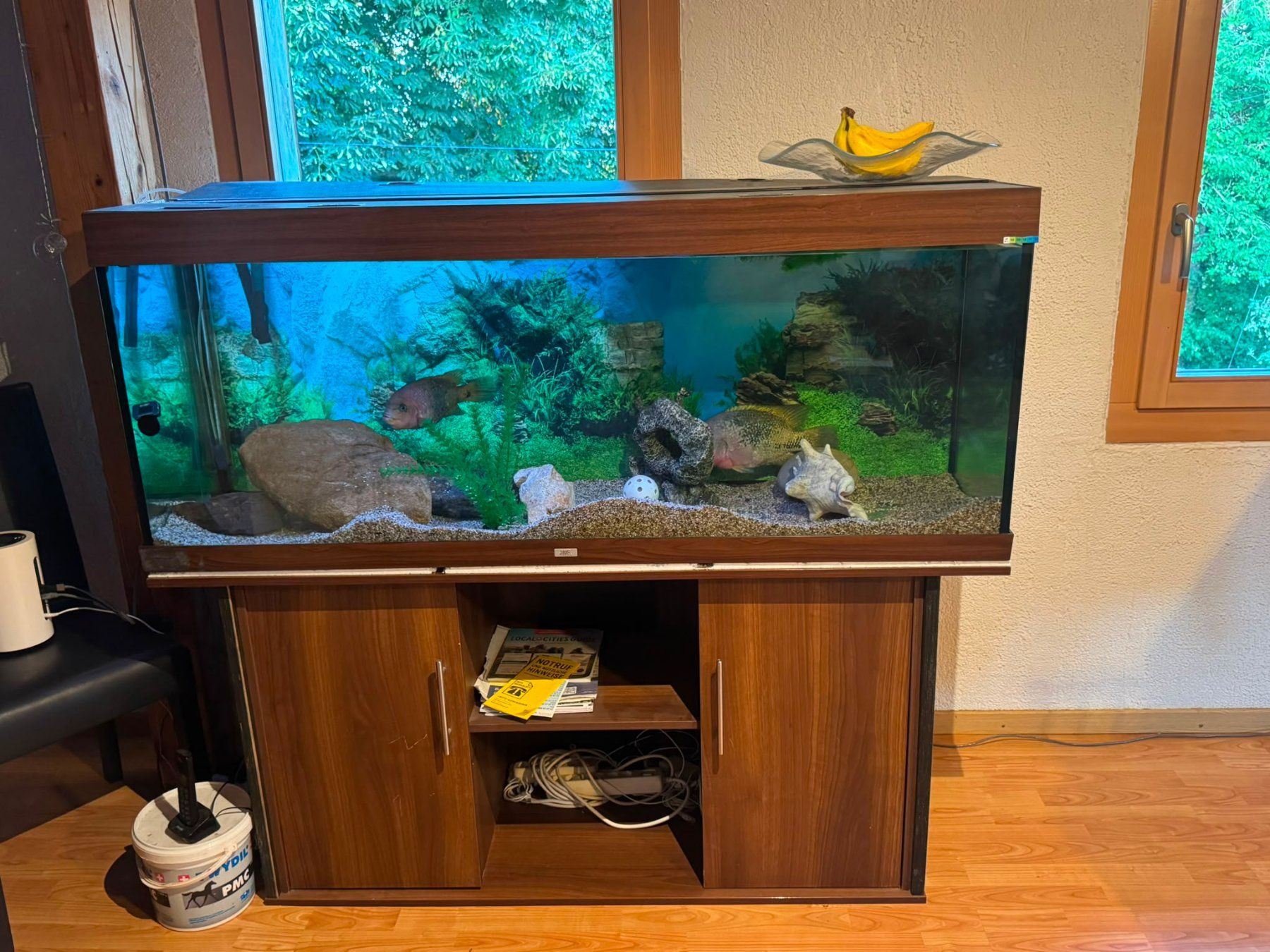 Acquari: 450 Liter Aquarium mit Fischen – Usato da Münchenbuchsee venduto da jan_s7mb 1