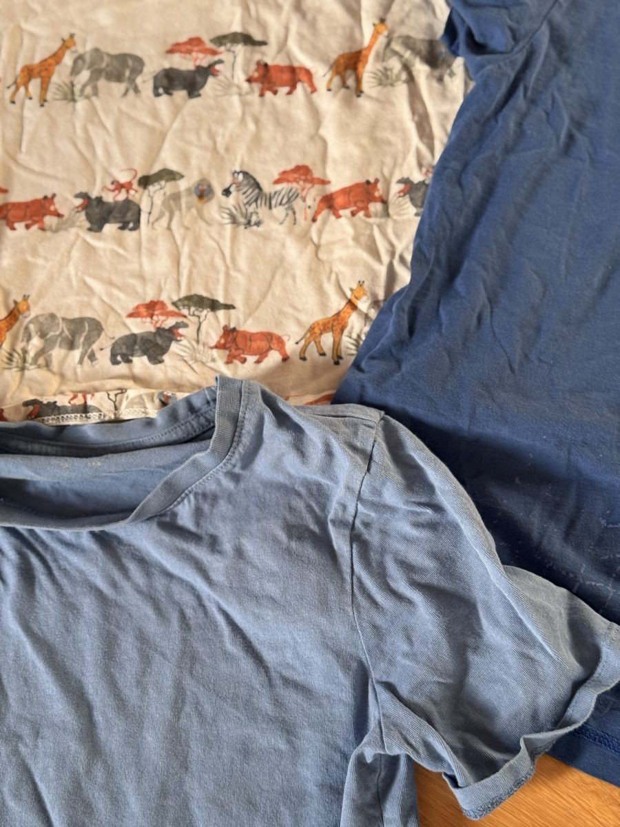 Camicie, T-shirt & Polo: 5 Jungen Shirts 134 – Usato da Wädenswil venduto da dorodi 1