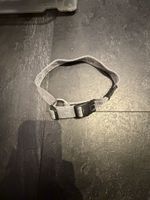 Rogz Hundehalsband, verstellbar