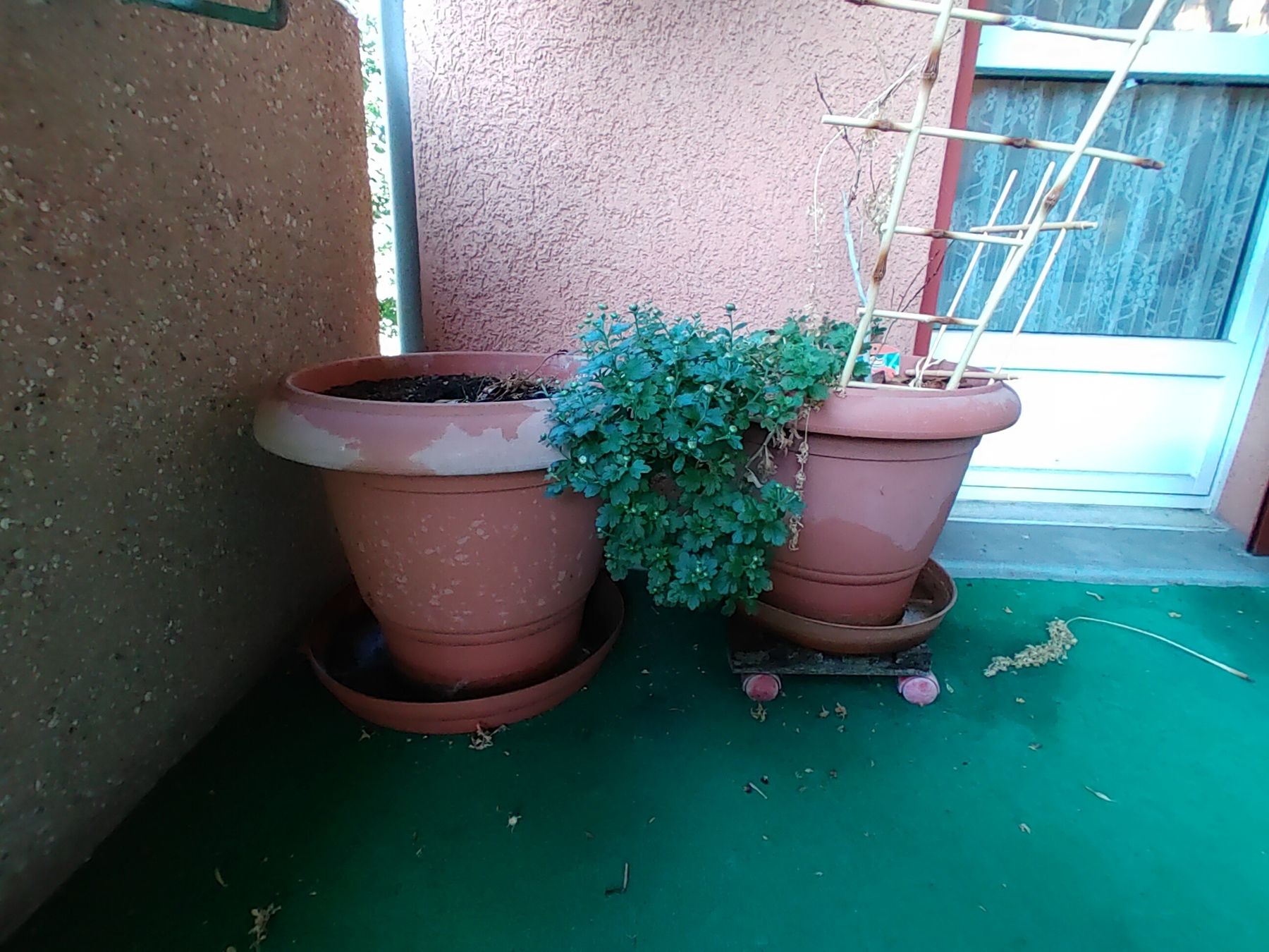 Pots de fleurs: Töpfe und Pflanzen  – D'occasion à Wädenswil par fajadi 1