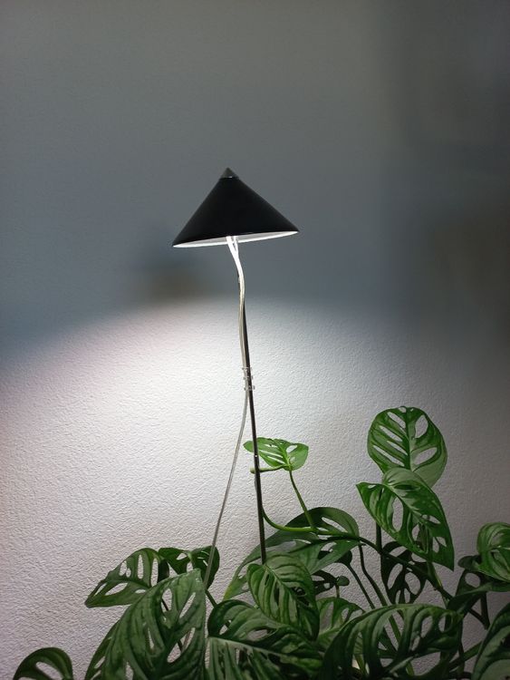 Dispositif d'éclairage de croissance Parus by Venso Lampe à plantes SUNLiTE XL 25W blanc, lampe de croissance LED avec tige télescopique, lampe de croissance pour plante