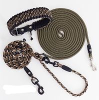 Hundeleine-Set 10mm / Halsband+Leine von Jolis-Shop (Neu)