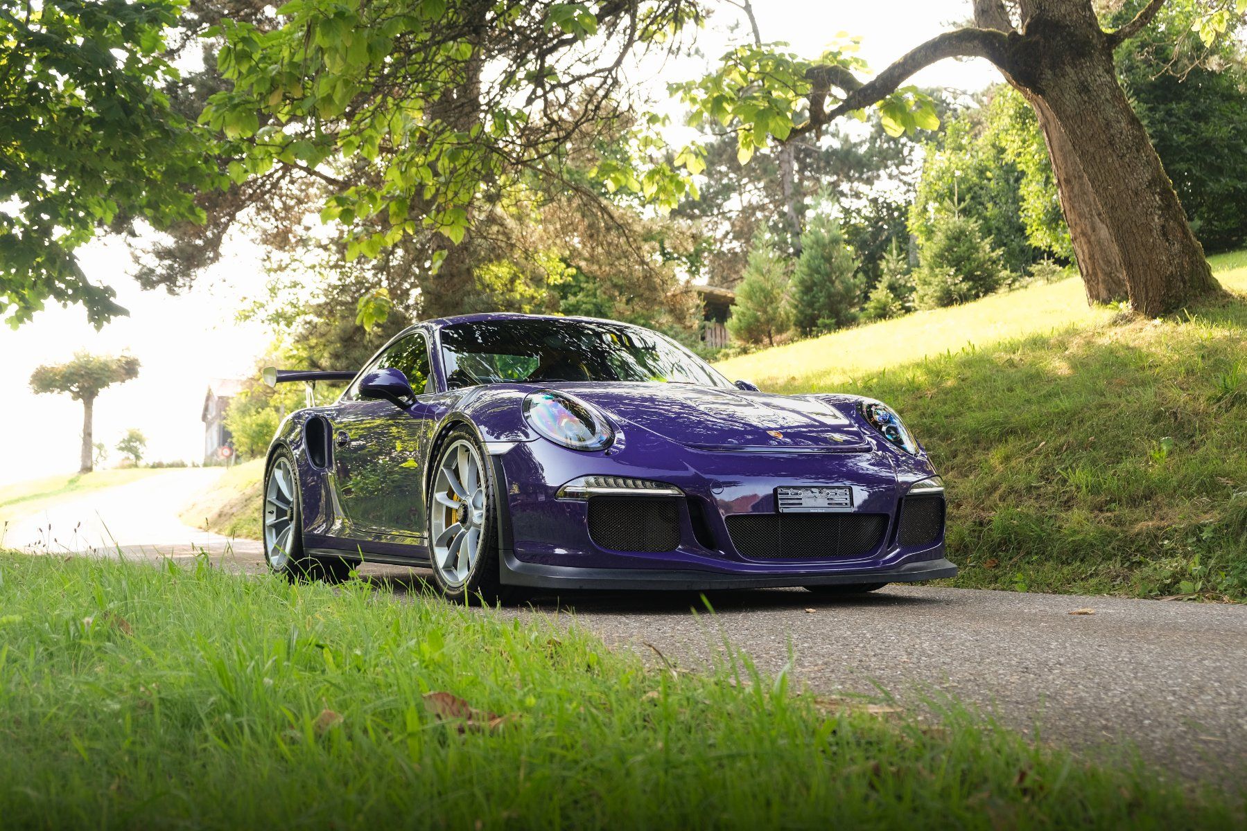 Porsche Automobili: Porsche GT3 RS 991.1 – Usato da Buchrain venduto da dextar