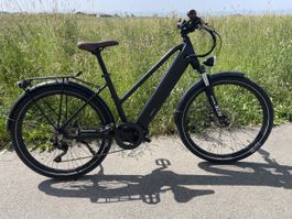 Ego Movement Jane+ 45km/h ganz wenig km ohne Schild!!!!!