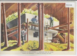 Armee Suisse - Bunker am Waldrand - Fortin en bordure de for
