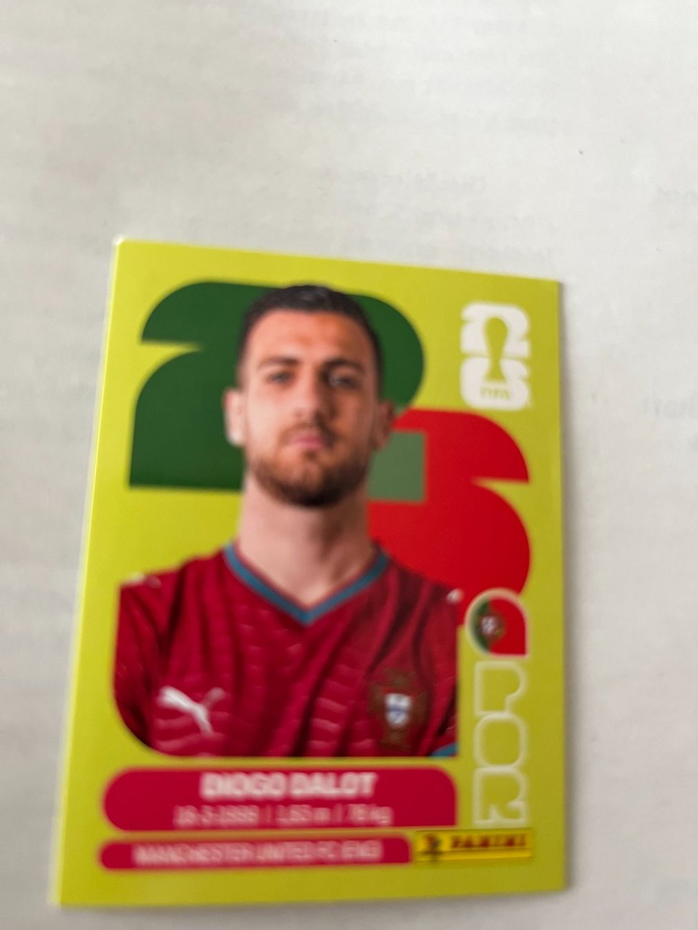 Panini Carte collezionabili: Panini World Cup 2026 – Usato da Winterthur venduto da fla_hwg8