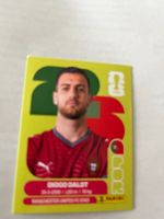Panini World Cup 2026