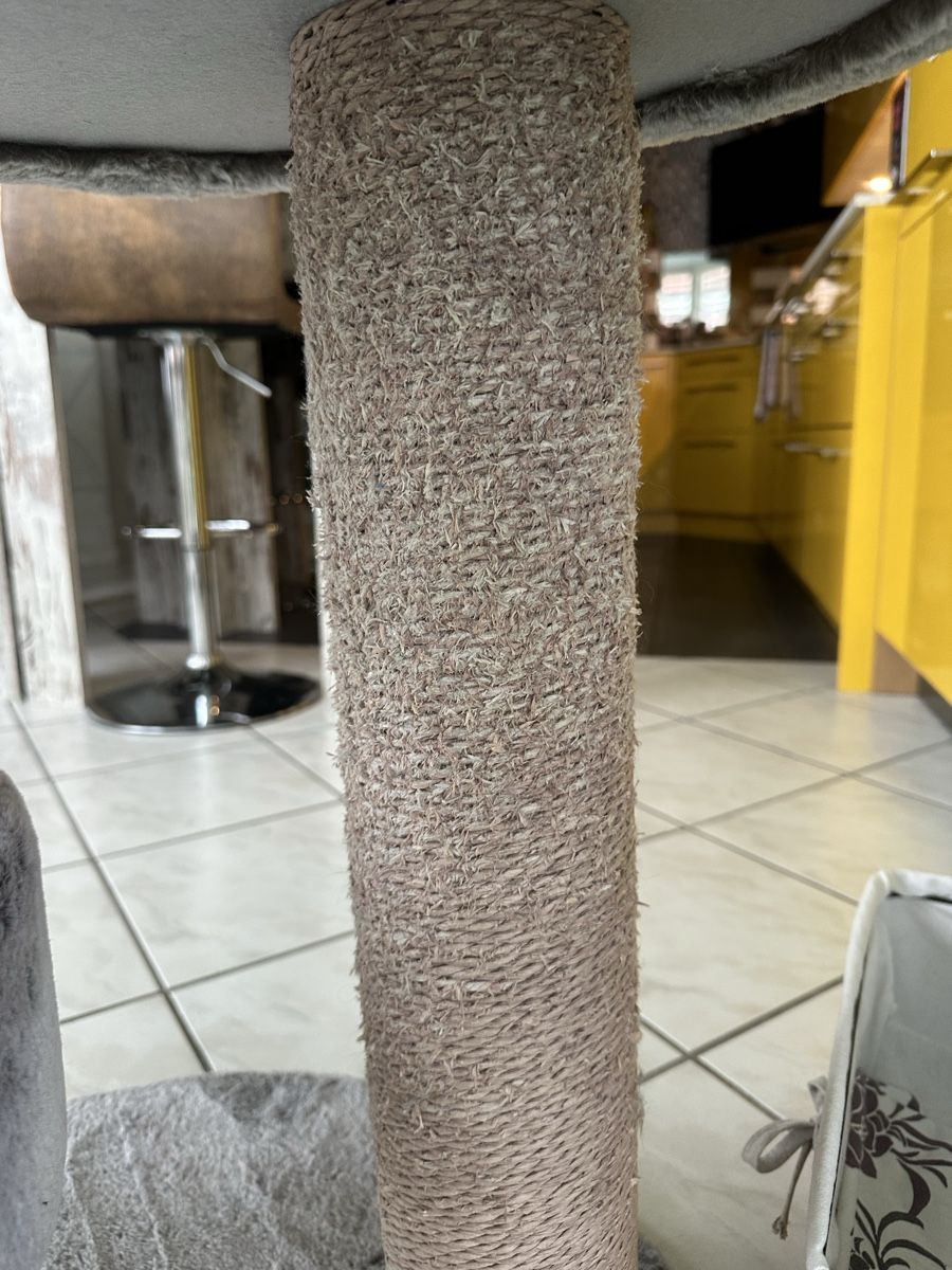 Tiragraffi: Katzenbaum – Usato da Bolken venduto da mcleos 2