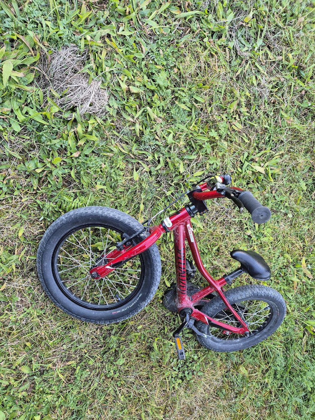 Specialized Biciclette: Specialized Riprock 16" – Usato da Savognin venduto da feibien83 3