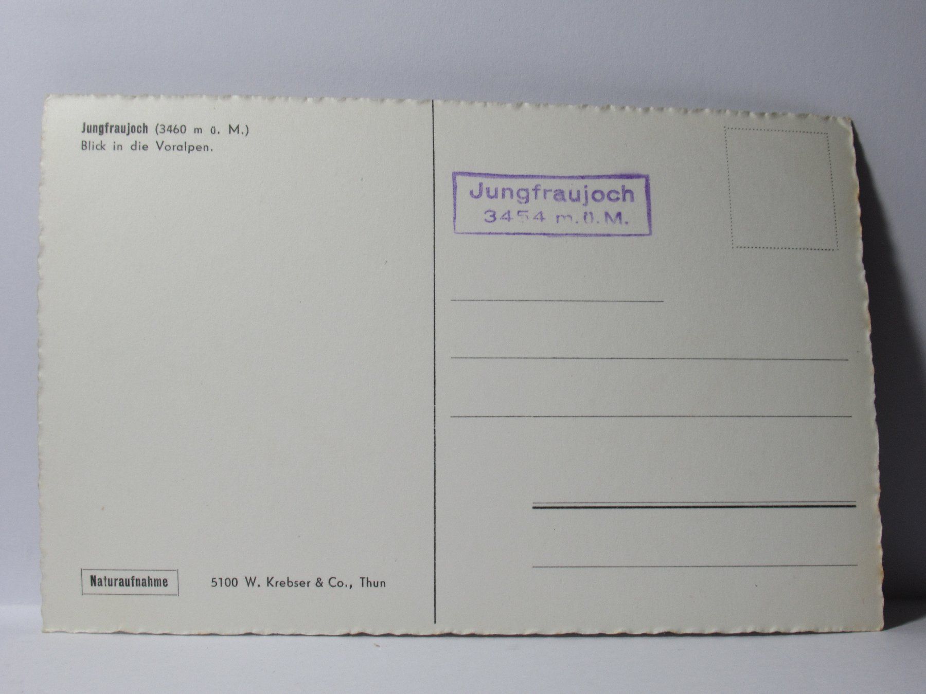 Cartoline postali: Jungfraujoch , Langläufer – Nuovo (secondo la descrizione) da Grenchen venduto da Bluemchen1900 1