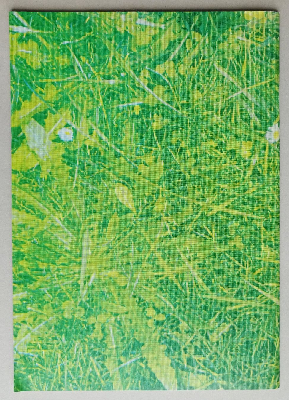 Bücher: OLMA-Gastkanton Thurgau 1998 – Gebraucht aus St.Gallen von Paddington11 9