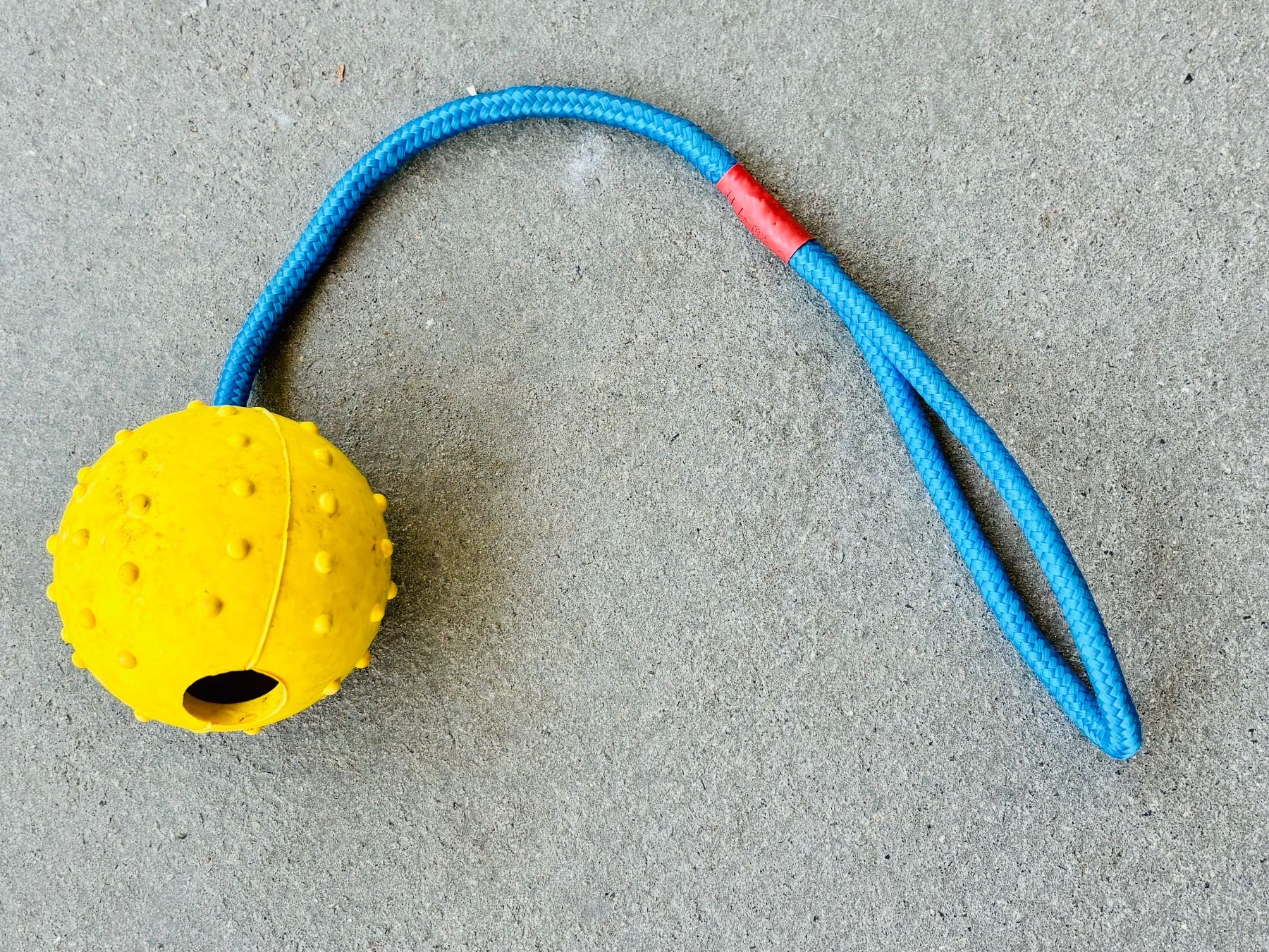Spielzeuge: Assortiertes Hunde-Spielzeug – Gebraucht aus Fehraltorf von nolram75 1