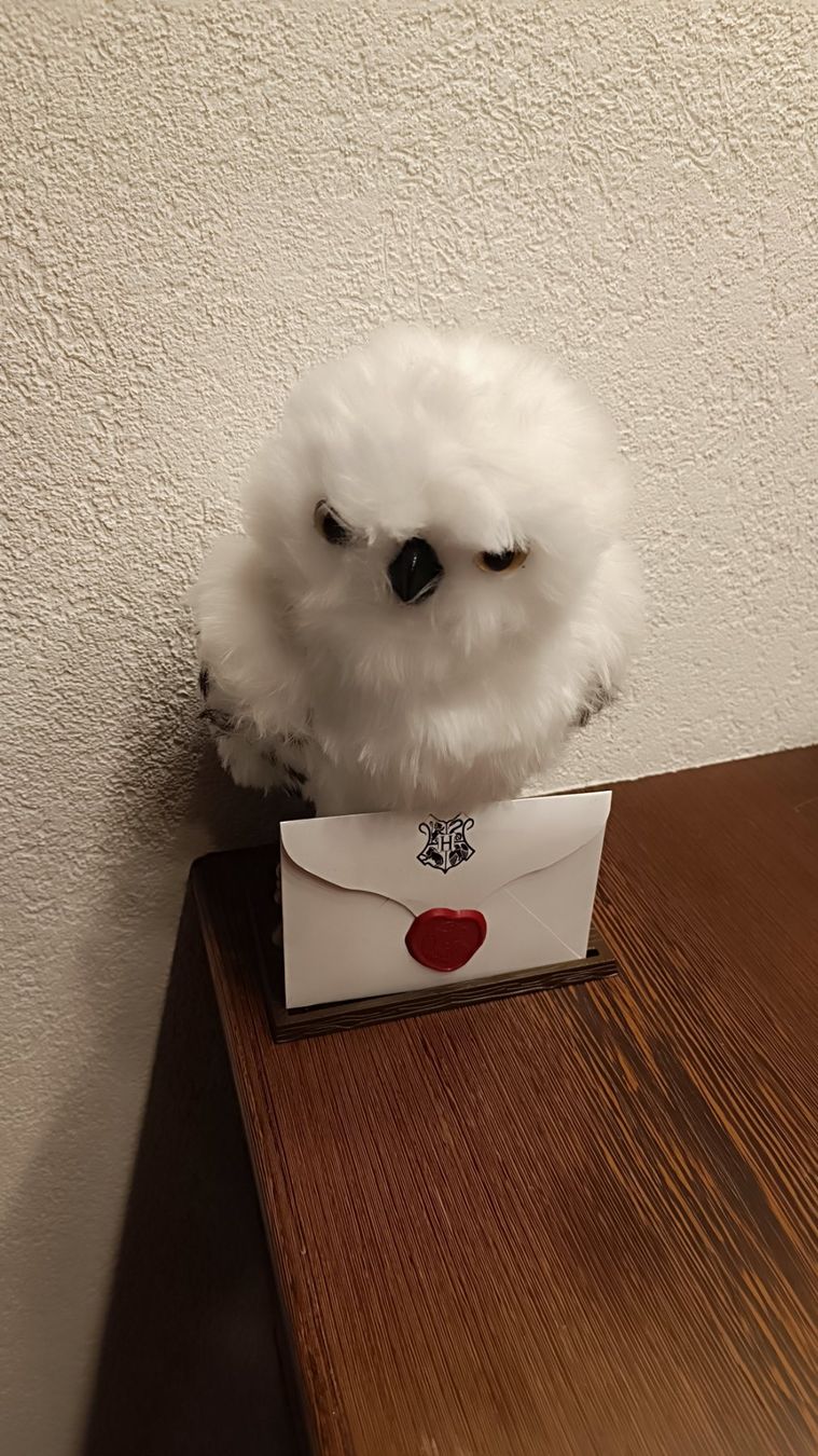 Giocattoli: Harry Potter Hedwig Figur – Usato da Goldau venduto da Chrieseli4 2