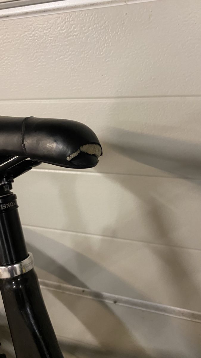 Propain Biciclette: Propain Spindrift 4CF Rahmengrösse L – Usato da Gerlikon venduto da Pedruzini 6