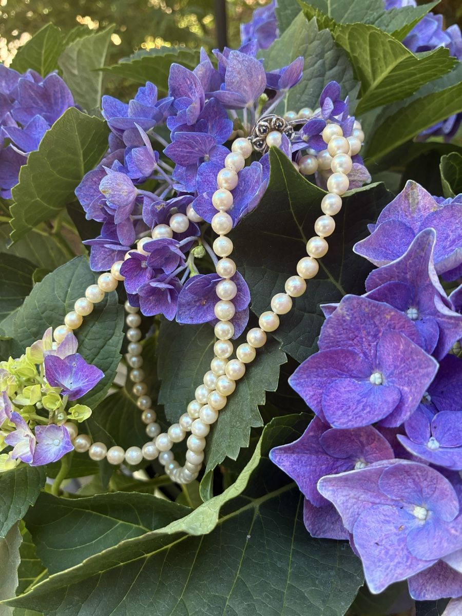 Ketten: Collier de perles avec saphirs – Neu (gemäss Beschreibung) aus Granges-Paccot von keopskephrem