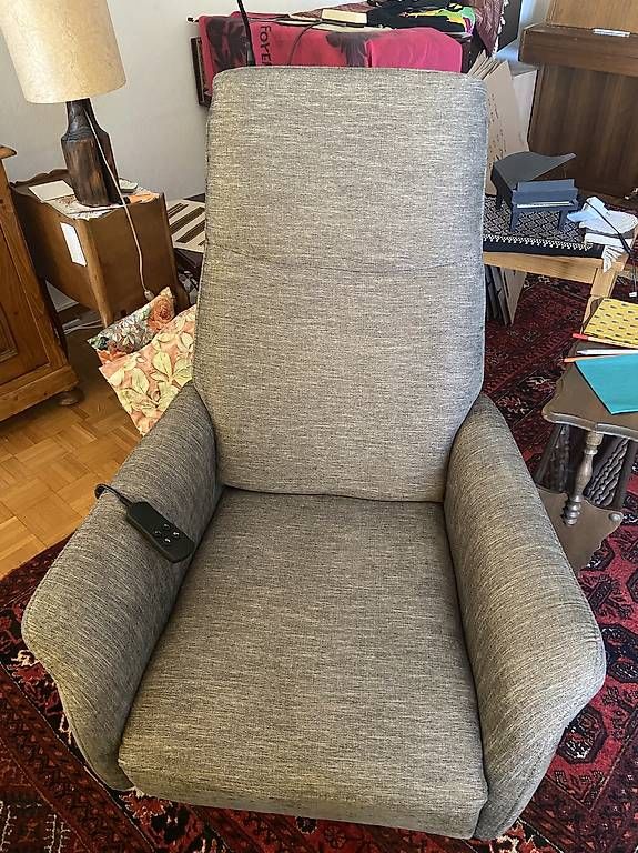 Sessel: Fauteuil électrique – Gebraucht aus Collex von Anne-FrancoiseManriq 1