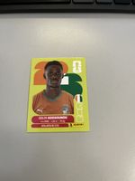 Panini 2026