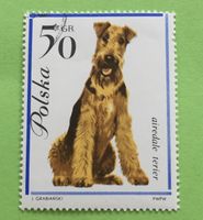 Briefmarken aus Polen  gestempelt Siehe Original Fotos. 