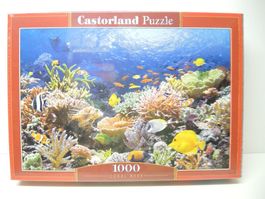 Castorland 101 511 Korallen 1000