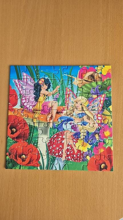 Puzzle: Puzzle féérique 5+  – Usato da Bevaix venduto da gig_79v5 3