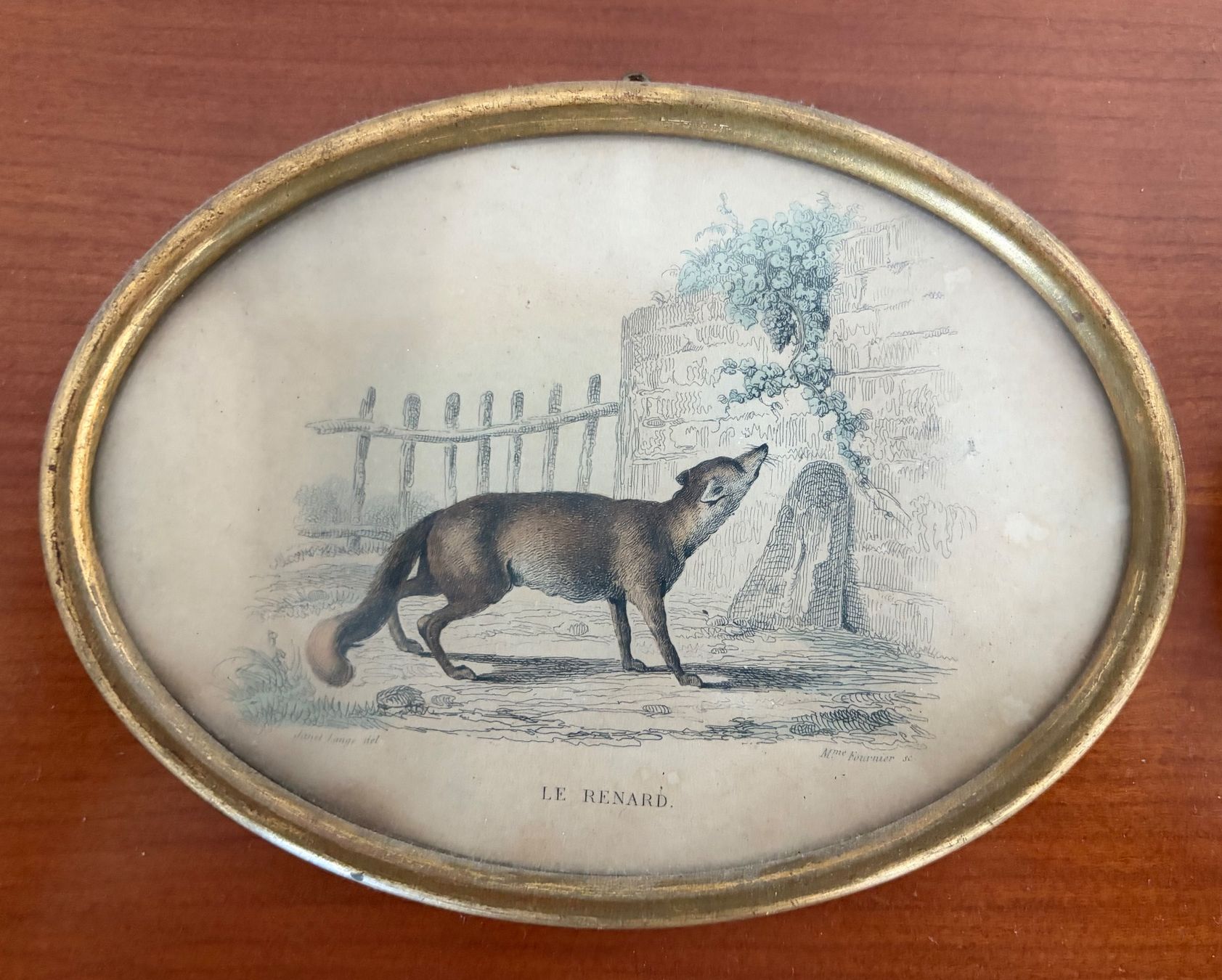 Gravures: Wolf und Hirsch Farbstich – D'occasion à Luzern par Lampion 1