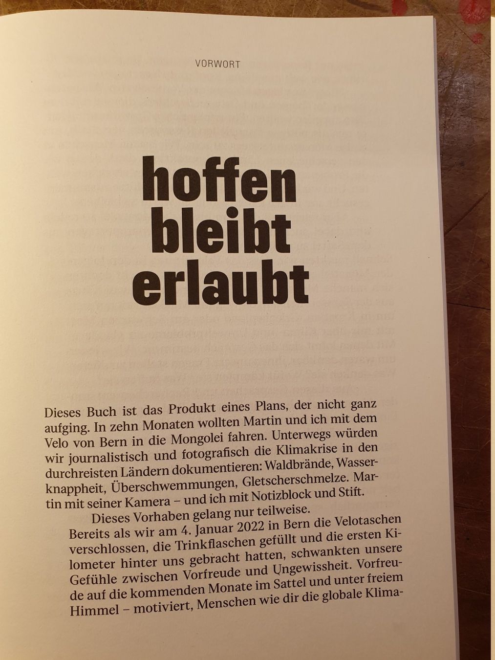 Libri: Hoffen bleibt erlaubt - Florian Wüstholz – Usato da Zürich venduto da loosebone 9
