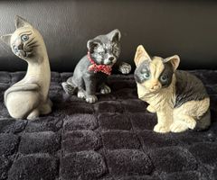 Drei Katzen