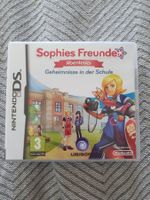 Nintendo DS Spiel