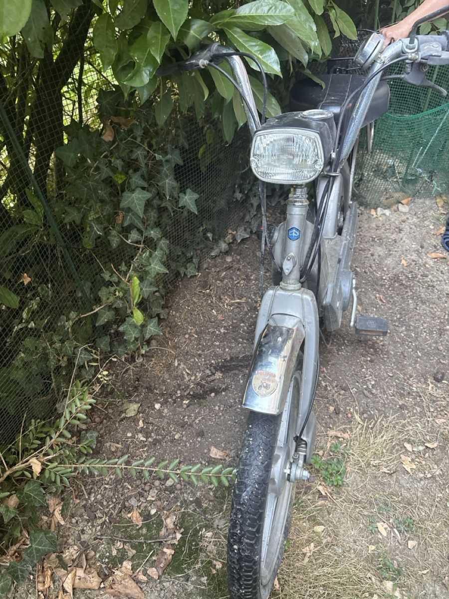 Piaggio Ciclomotori: Vélomoteur Piagio Ciao – Usato da Estavayer-le-Lac venduto da aud_vxr5