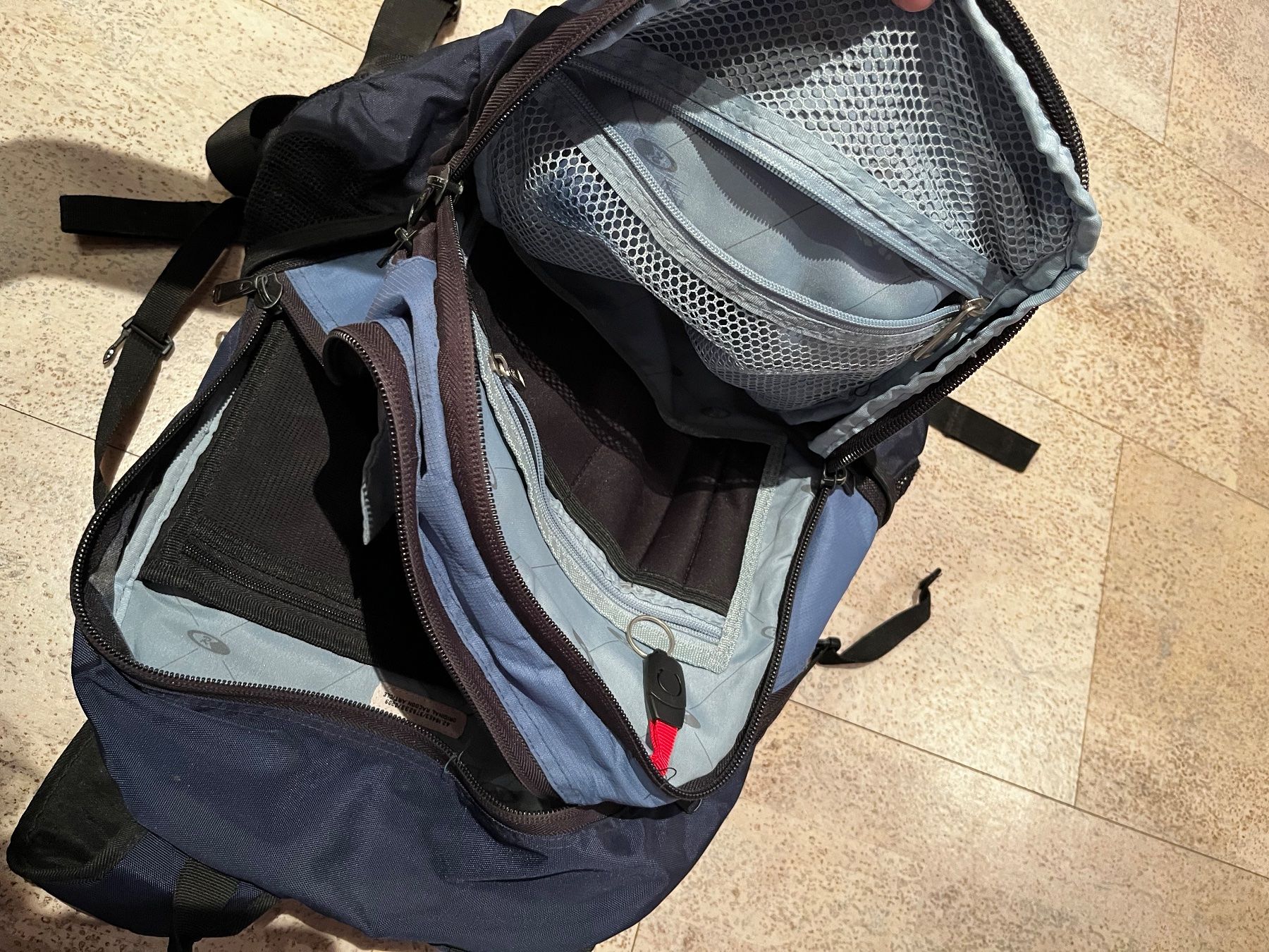 Racoon Zaini: Raccon Schulrucksack – Nuovo (secondo la descrizione) da Hägglingen venduto da h.hub 2