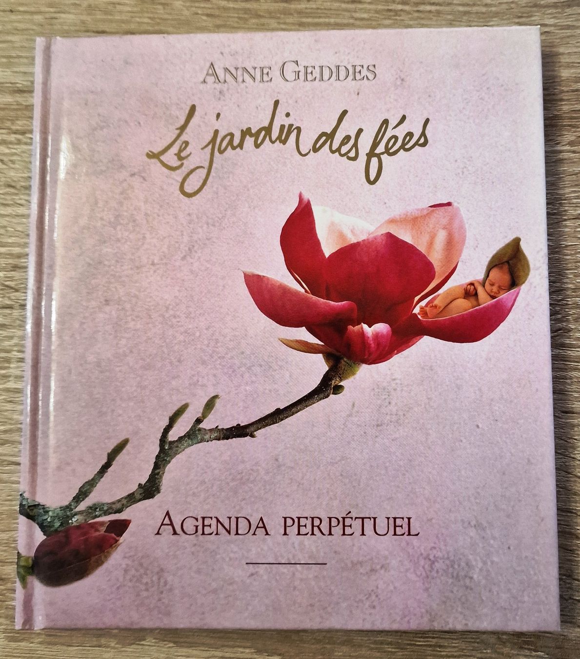 Libri: Anne Geddes – Usato da Bouveret venduto da Hannelor0