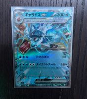 Garados EX Pokemon Japanisch