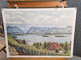 Fritz Zbinden Schulwandtafel Bild 85 Zürichseelandschaft, 55