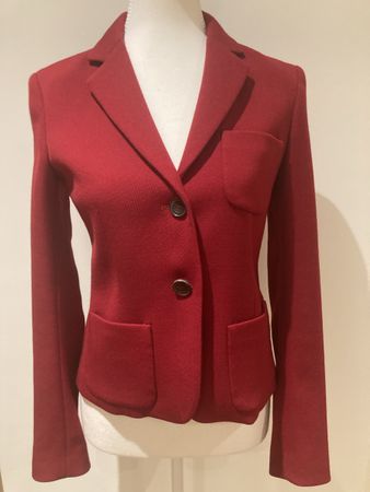 Theory Blazer rot