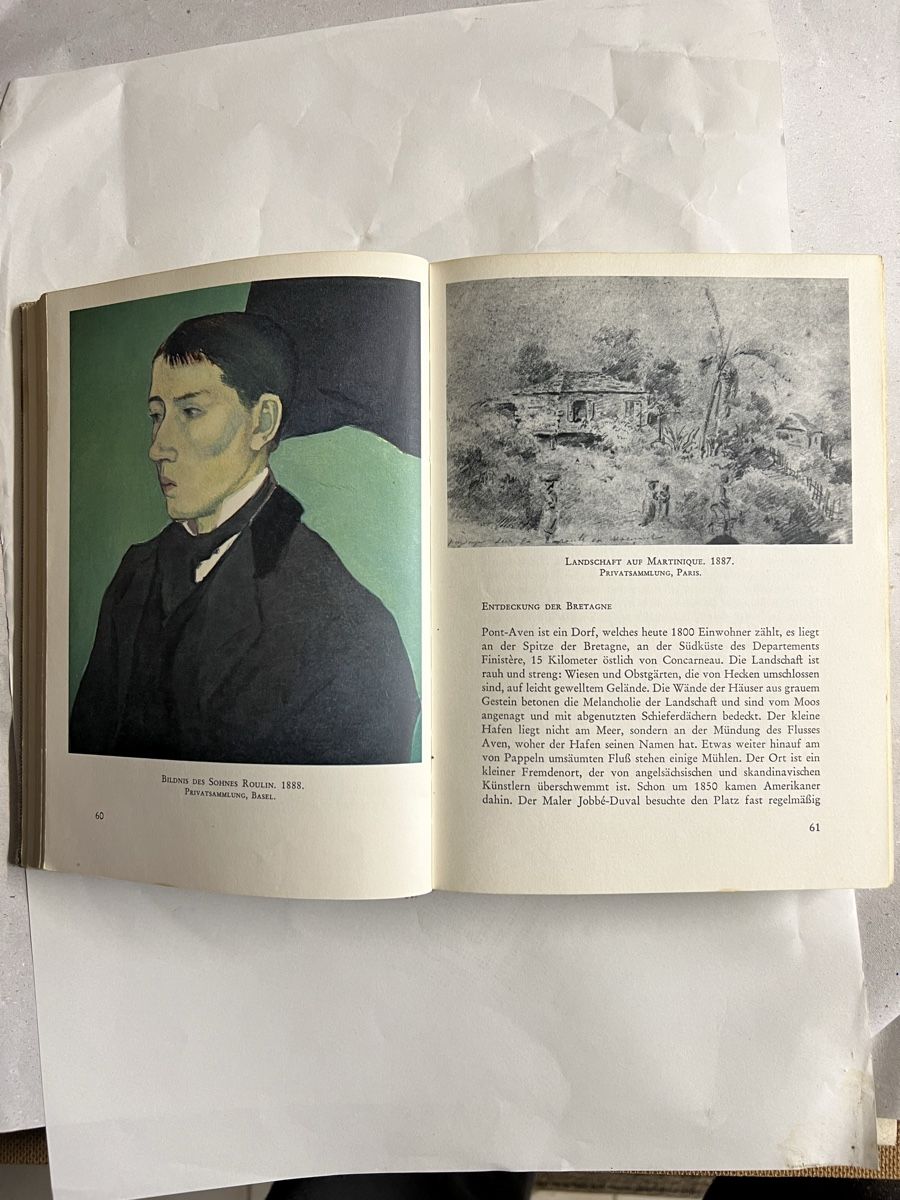 Libri: Bücher Gauguin – Usato da Niederrohrdorf venduto da beniledergerber 3