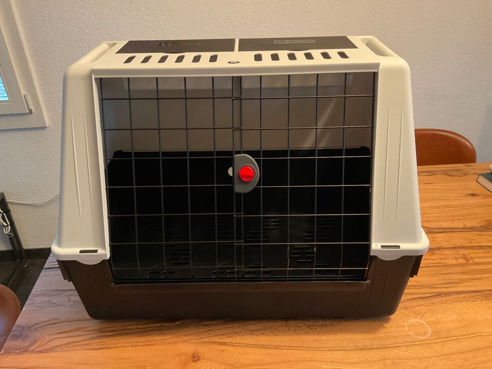 Transportbox / Tiere / Hund / Ferplast Transportbox (Neu (gemäss ...