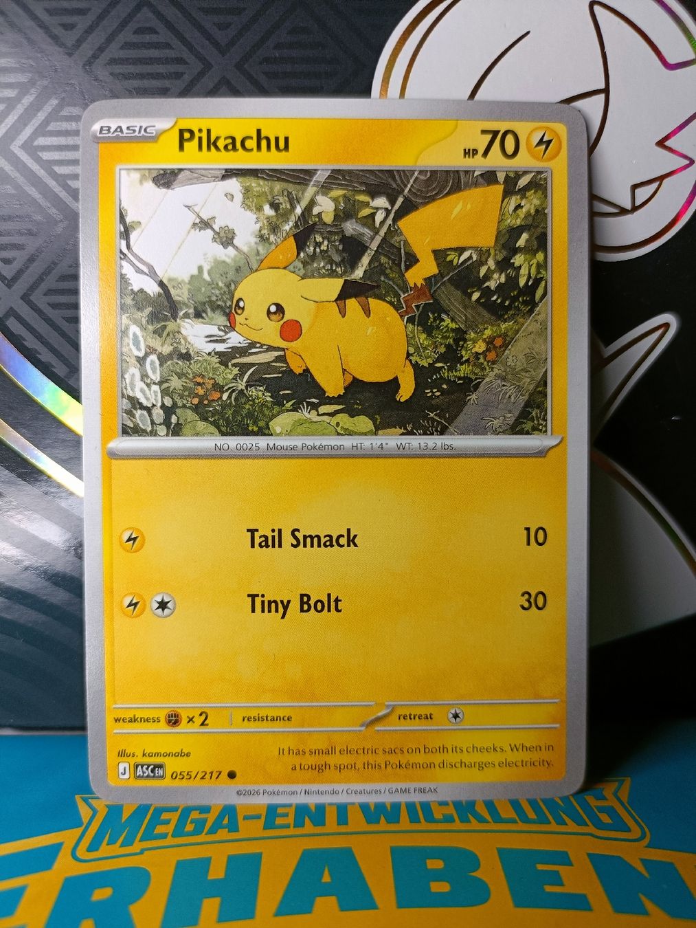 Pokémon Carte collezionabili: Pikachu Acended heros (EN) – Usato da Zürich venduto da Sysyem-pokemon